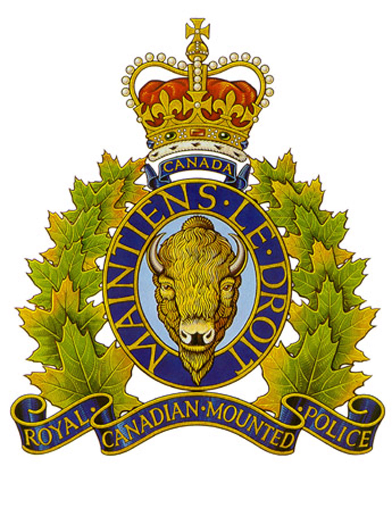 Cold Lake RCMP Investigating Early Morning Arson